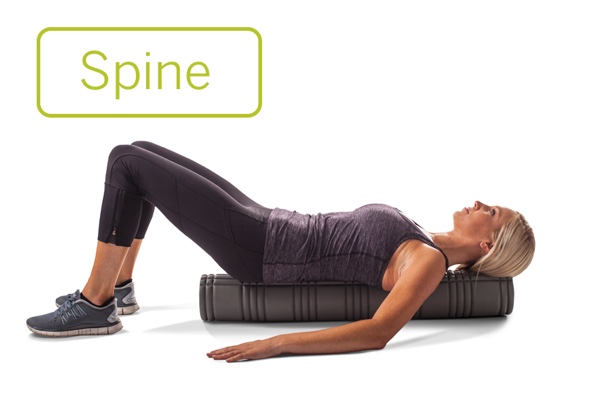 TriggerPoint CORE Roller Spine