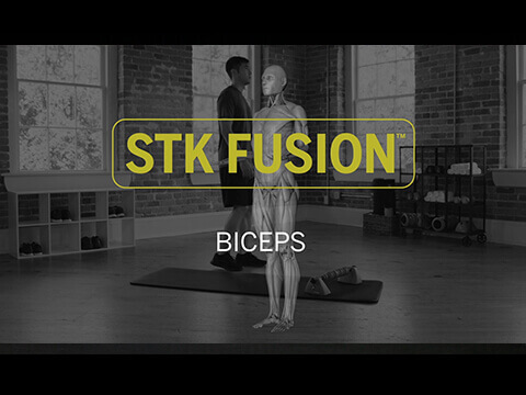 STK Fusion Biceps Mike