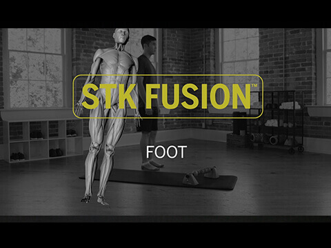 STK Fusion Foot Mike